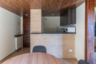 Sao Paulo - Duplex 1-BR - Faraya - 1