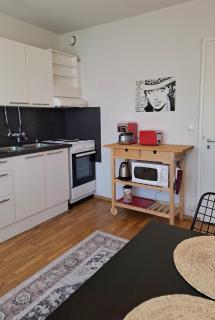 Spacious one-bedroom apartment in the city center, close to the train station - 8