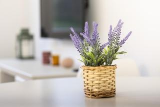 The Green Home - VUT6445AS - 2