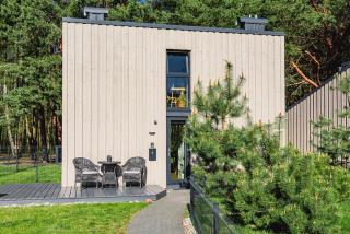 Luxury Villa with Pine Forest View, Palanga - 8