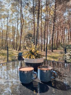 Žalia Kopa Pine Forest Villa with Pool - 3
