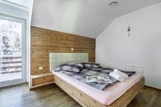 Pool Villa Katja near Kranjska Gora - 1