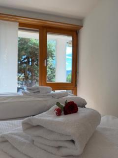 Alpine Paradise , Mountain Views & Serenity - 2