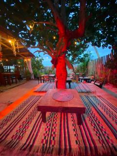 Apol's home - 9