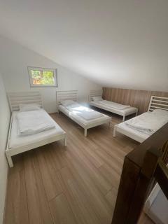 Bizon Village - 2