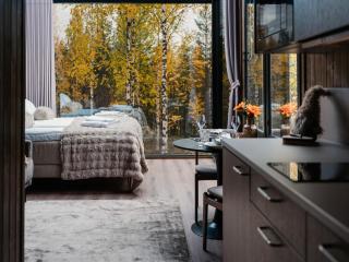 Aava Glass Igloos - 0