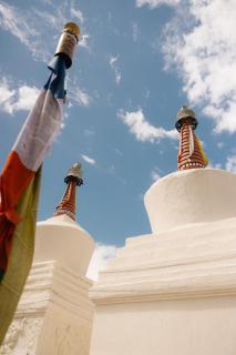 Lchang Nang Retreat-THE HOUSE OF TREES-Nubra Valley - 1