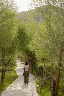 Lchang Nang Retreat-THE HOUSE OF TREES-Nubra Valley - 3