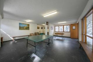 Il nido nella Pineta Central in Ski resort - Happy Rentals - 9