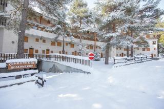 Il nido nella Pineta Central in Ski resort - Happy Rentals - 2