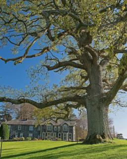 Bryn Derwen Country House - 7