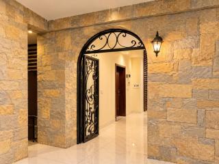 Premium Loft 1 BHK with View & Balcony & Parking in Phase 7 - 1