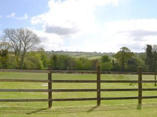 Hayloft - Ukc4241 - 9