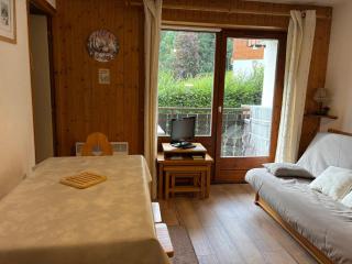 Châtel: Appartement 2 Pièces, Balcon, Parking, WIFI, Animaux OK - 0