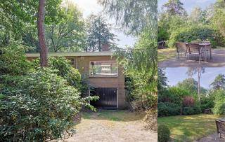 Natuurhuisje in Diever - Rust, Ruimte & Bos - 0