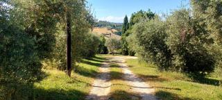 IL CASALE DEGLI ULIVI- Splendido casale panoramico con piscina riscaldata a 30 min da Roma GRA - 7