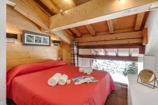 l'Ours Bleu B33 - Ski in Ski out - Happy Rentals - 3
