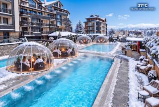 Premier Luxury Mountain Resort - 5
