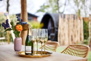 Veluwe Rentals - Design Chalet With Private Sauna and Fenced Garden - Nationaal Park De Hoge Veluwe - 1