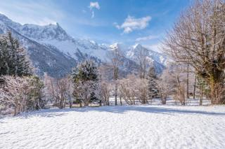 Chalet Les Airelles Mont-Blanc View - Happy Rentals - 0