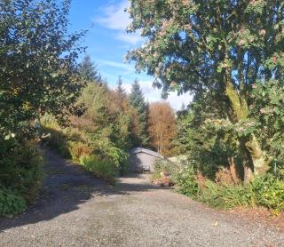 Off Grid Cabin Sleeps 2 Pets Ok 20 min to Dunoon - 1