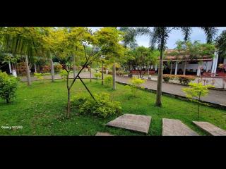 Hotel Tree Garden Wilpaththu Nochchiyagma Anuradhapura - 7