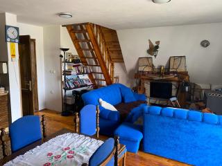 Golija Mountain House - 6
