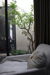 Wayhome homestay - 3