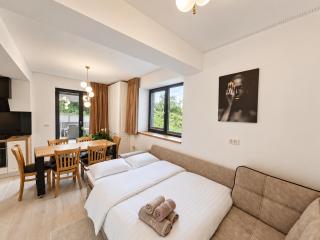 Luxury Apartments C - 2