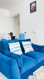 Studio apartment in Membley Kamakis Ruiru along Eastern Bypass - 3
