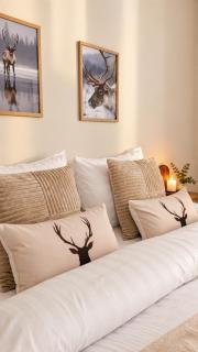 Nordic Haven Near Center I Private Sauna I Wi-Fi - 9