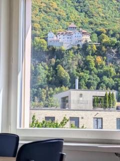 Vaduz Castle View Apartment in City Center with balcony and parking - 0
