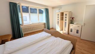 Vaduz Castle View Apartment in City Center with balcony and parking - 8