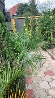 Jordana Homes - 4