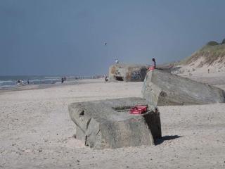 4 star holiday home in Ringkøbing - 5