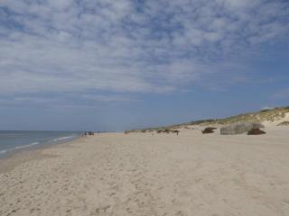 4 star holiday home in Ringkøbing - 4