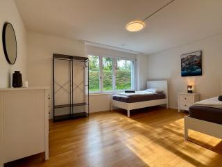 Swiss Suites Residence - Seengen - 9