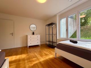 Swiss Suites Residence - Seengen - 6