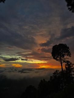 Van Ashraya - 3