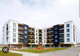 Brand-new quiet flat near Kadriorg, Song Festival - 1