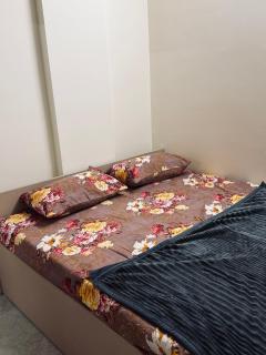 Curator crib - 1
