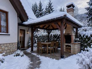 SkiHome in Harrachov, Czechia - 4