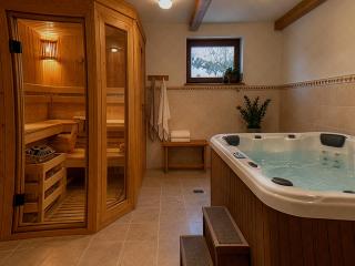 SkiHome in Harrachov, Czechia - 3