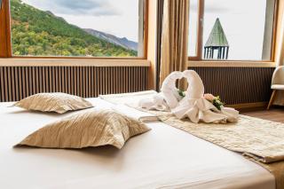 Hemus Hotel - Vratza - 1