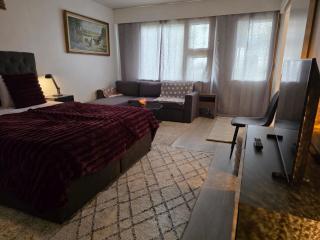 North Spirit Apartment, Rovaniemi - 5
