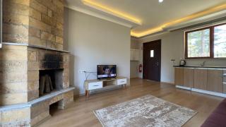Ultra-luxury villa for rent 00012 - 7
