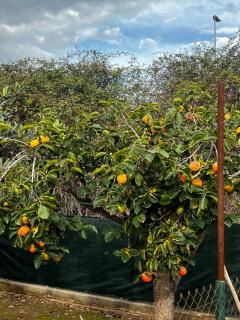 La Casita - 5