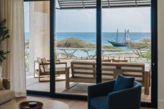 Sunset Cove Brand-New Luxury Oceanfront Villa with Panoramic Caribbean Views - Palm-Eagle Beach - 3
