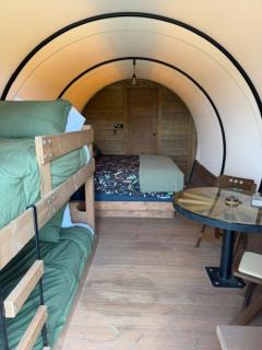 The Homestead Conestoga Covered Wagon at Cherrywood Farm - 9