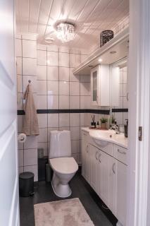 Luxury Villa Next to Santa Claus Village - Outdoor Jacuzzi and Sauna - 6
